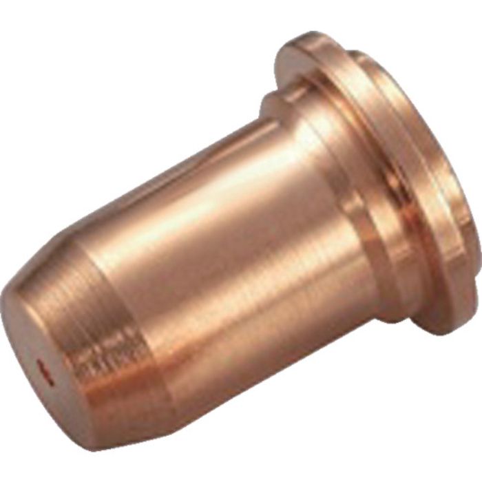 マイト チップ (10個入)(Tcode:8354113)