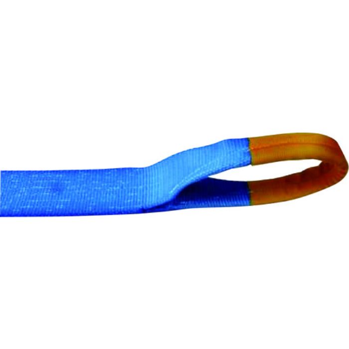 TESAC ラッシングベルト(ベルト荷締機)ラチェットバックル式アイタイプ(Tcode:7931611)