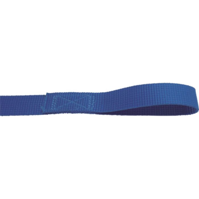 TESAC ラッシングベルト(ベルト荷締機)ラチェットバックル式アイタイプ(Tcode:4214021)