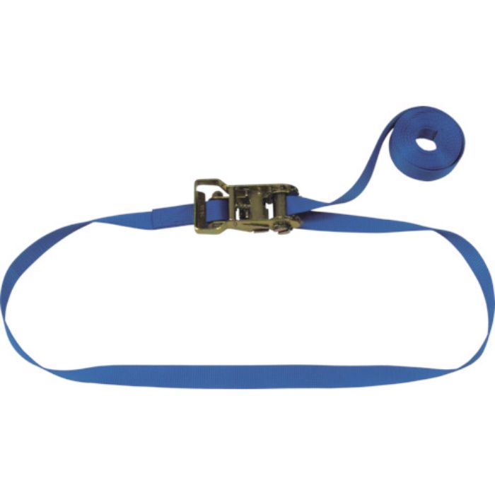 TESAC ラッシングベルト(ベルト荷締機)ラチェットバックル式エンドレスタイプ(Tcode:4214048)