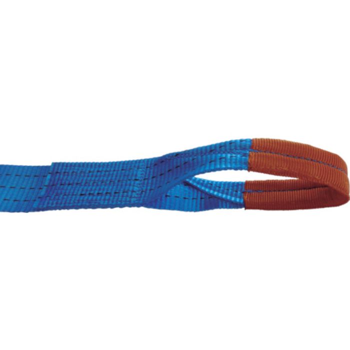 TESAC ラッシングベルト(ベルト荷締機)ラチェットバックル式アイタイプ(Tcode:4214081)