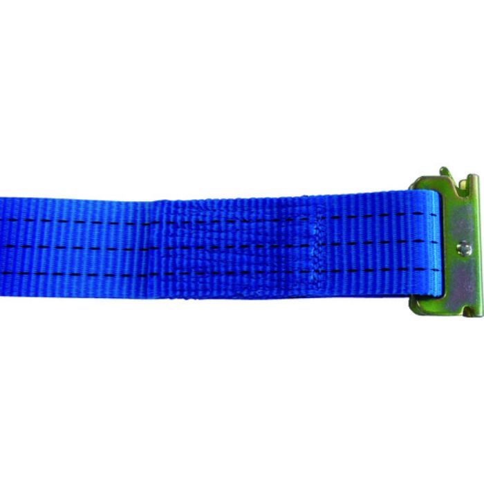 TESAC ラッシングベルト(ベルト荷締機)ラチェットバックル式両端ワンピース付(Tcode:4214102)
