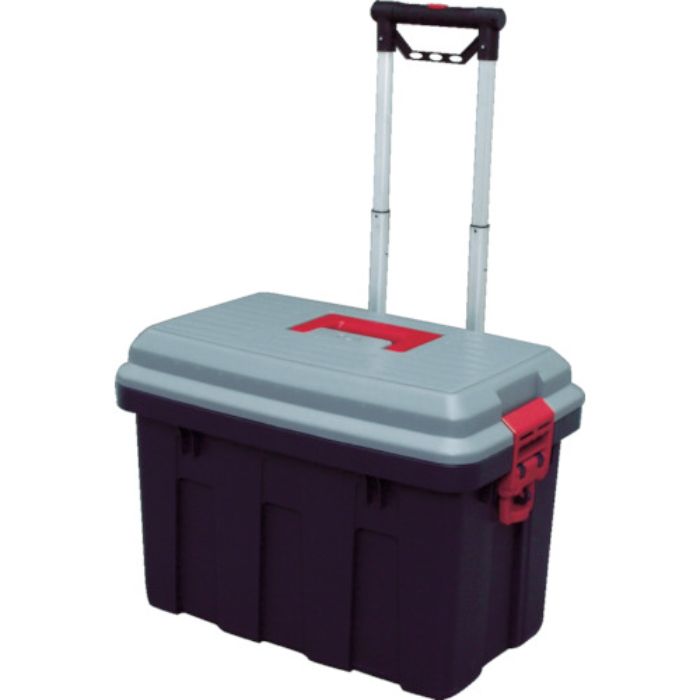 IRIS 538497 RVキャリー 650 グレー/ダークグリーン(Tcode:4101375)