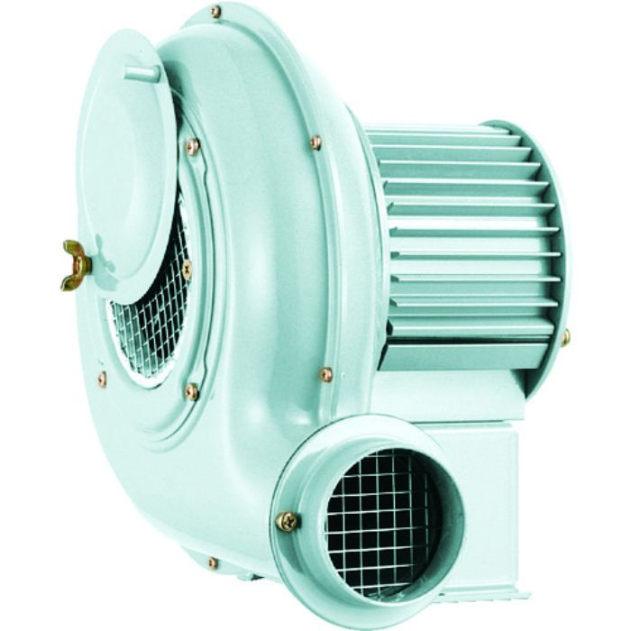 昭和 電動送風機 汎用シリーズ(0.04kW)(Tcode:1384112)