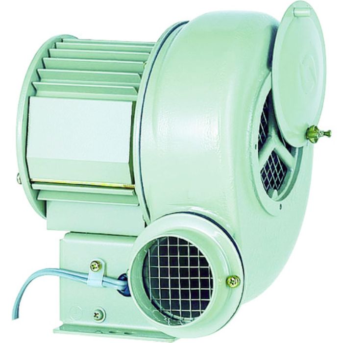 昭和 電動送風機 汎用シリーズ(0.025kW)(Tcode:1384171)