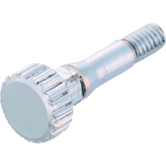 タジマ セフ後付ホルダーメタル縦ベルト用ネジ(Tcode:1952924)