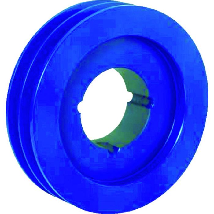 EVN ブッシングプーリー SPA 100mm 溝数2(Tcode:3805166)