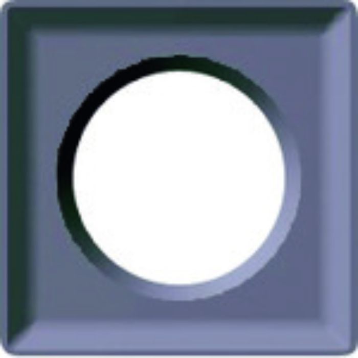 富士元 インサート AC16N(Tcode:1947854)