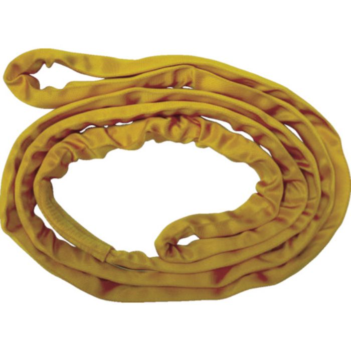 TESAC ブルースリングソフトN形(エンドレスタイプ)荷重3.2t全長2.5m(JIS規格品)(Tcode:4214366)