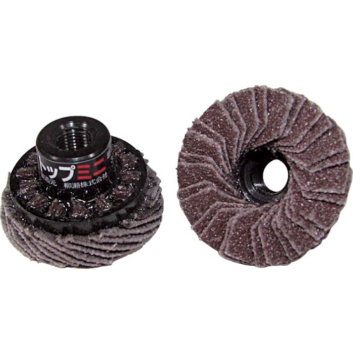 ヤナセ TOPミニディスク 30xM7xP0.75 #100(Tcode:8126738)