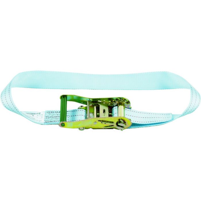 田村 ベルト荷締機 ベルトラッシング TR05-N-4.0(Tcode:3903818)