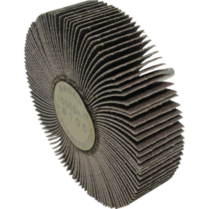 ヤナセ 軸付フラップホイール 100x25x6 #100(Tcode:3250181)