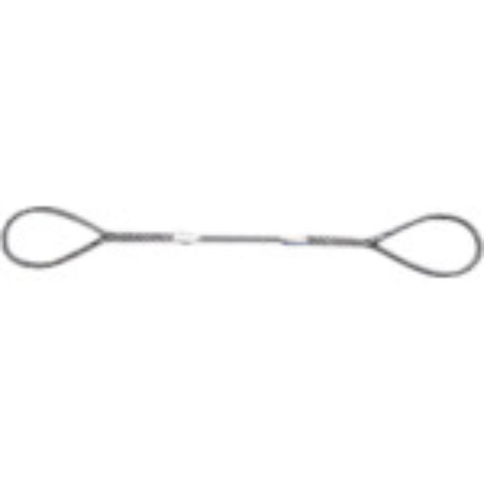 ニッコウ Wスリング 全長2.0m スリング径9mm(Tcode:4679172)