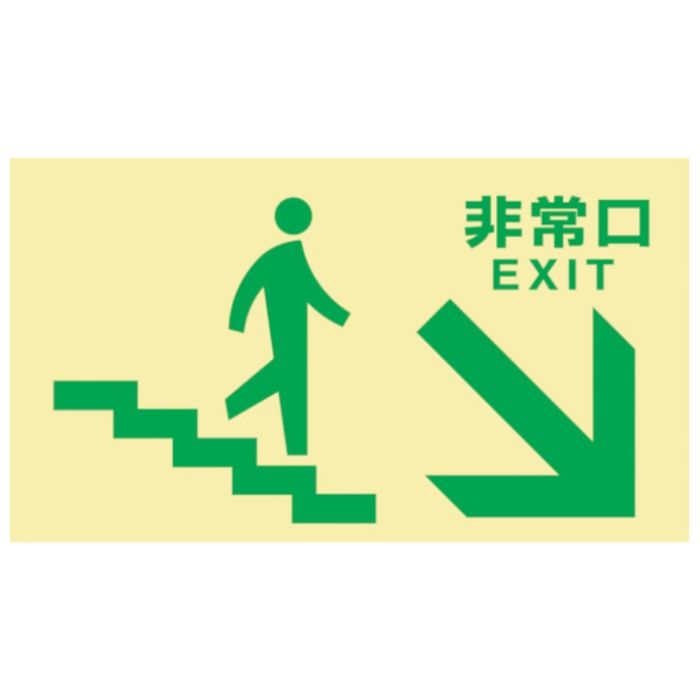 緑十字　高輝度蓄光避難誘導標識　非常口(階段右下)　TKN109　130×230　東京都条例適合品