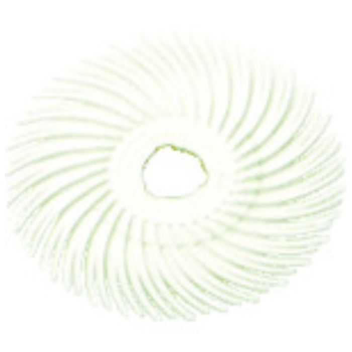 3M　ラジアル・ブリッスルディスク　#120相当　白　50.8mm