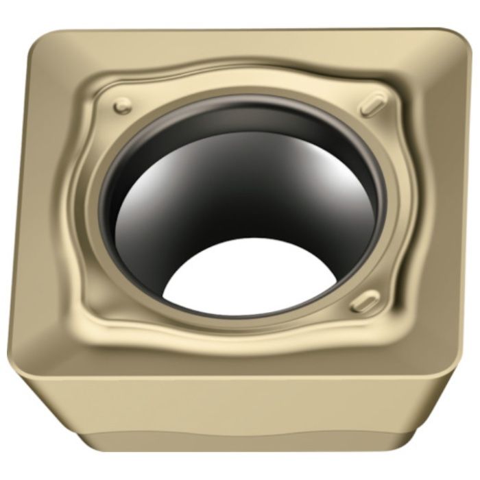 Walter　ミーリング加工用　正方形ポジチップ　WSM35G