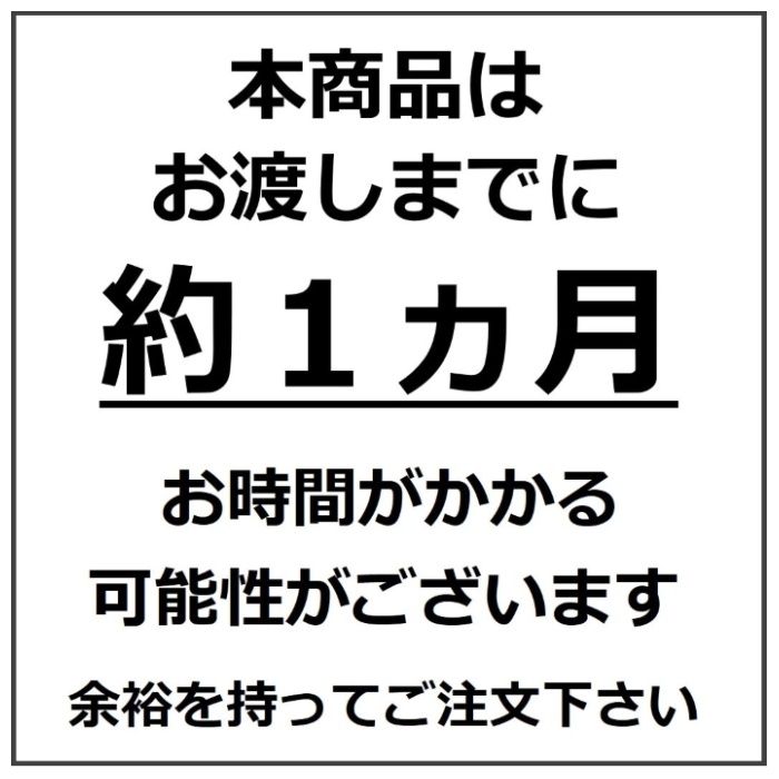 サカイサイクル twoway bike くすみグリーンの説明画像5